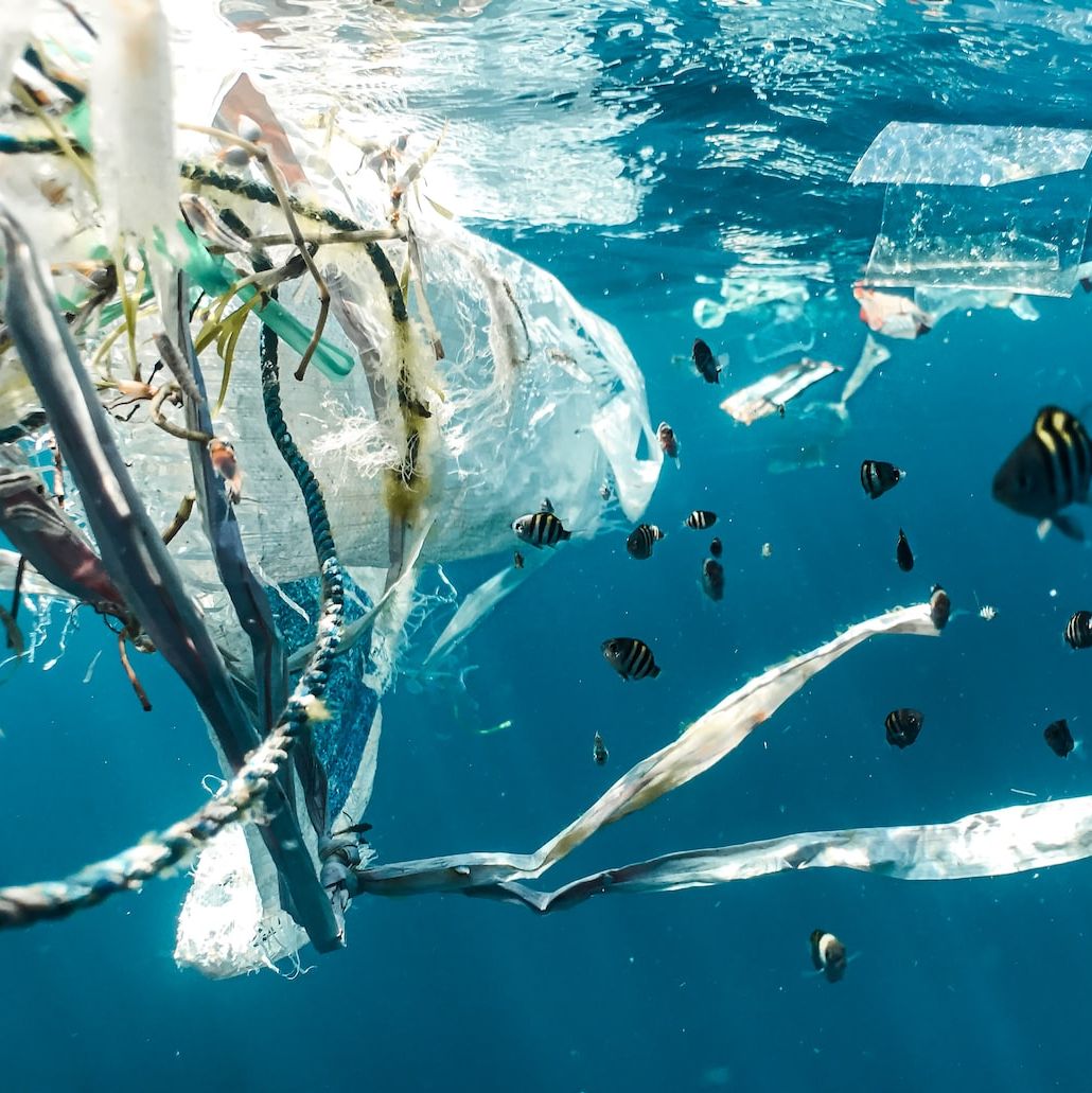 5 innovators adding value to plastic waste