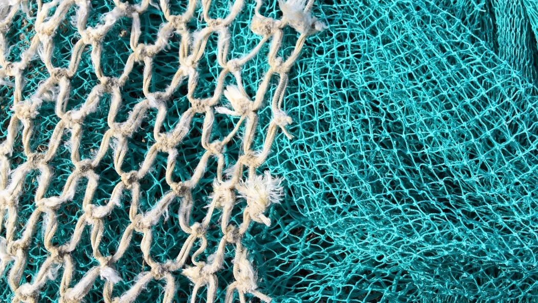 Bio-based and biodegradable nets could be the solution to 'ghost
