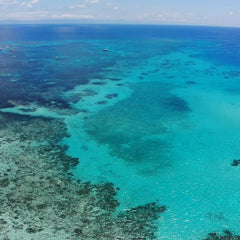 Morrison government announces $1bn pledge for Great Barrier Reef over the next decade