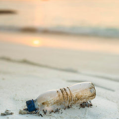 Tackling the Plastic Crisis: Breakthrough Innovations Leading the Way