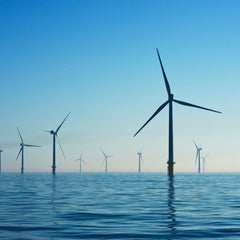 Innovations to Support Biodiversity in Offshore Wind White Paper