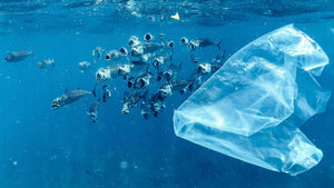 Tackling the Plastic Crisis: Breakthrough Innovations Leading the Way